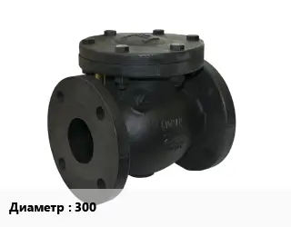 Клапан чугунный 300 Ру10 обратный